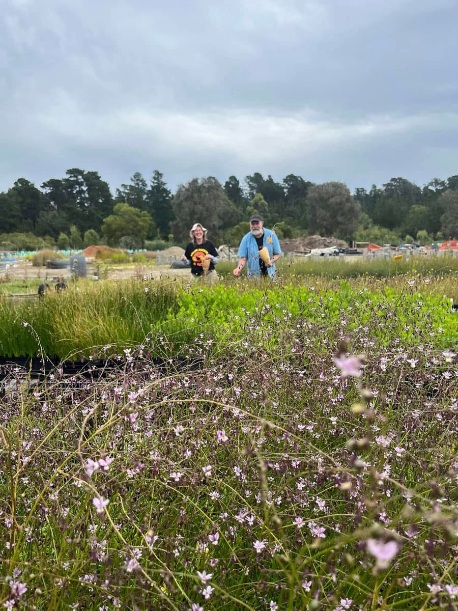 Bush Nursery Pathways
