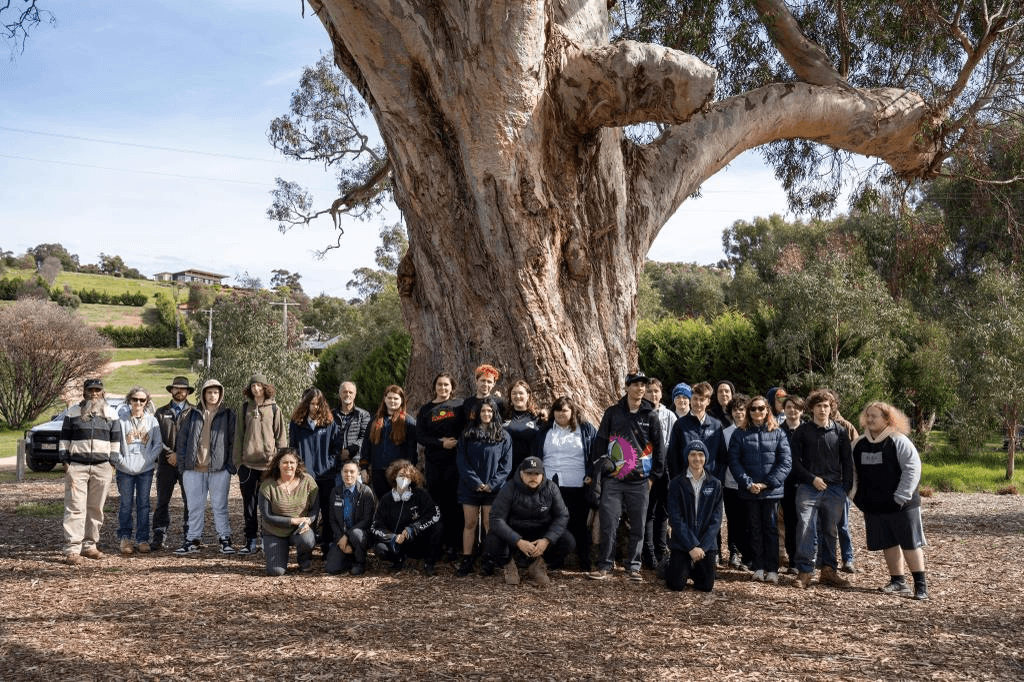 Photo_ Participants from the Nalderun School-based Apprenticeships & Traineeship Program standing with a local grandparent tree